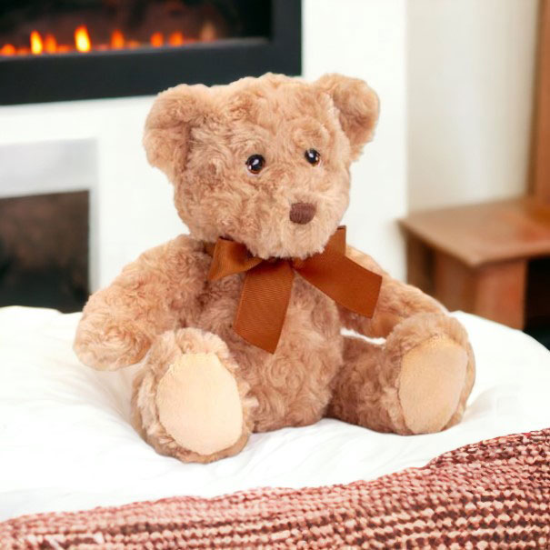Eco-Friendly Teddies