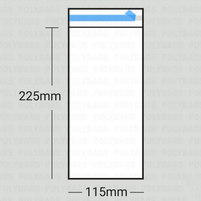 100 x Peel & Seal Display Bag - 115mm x 225mm + 30mm lip