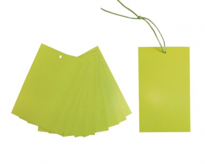 Pack 10 Gift Tags with Ties - APPLE GREEN