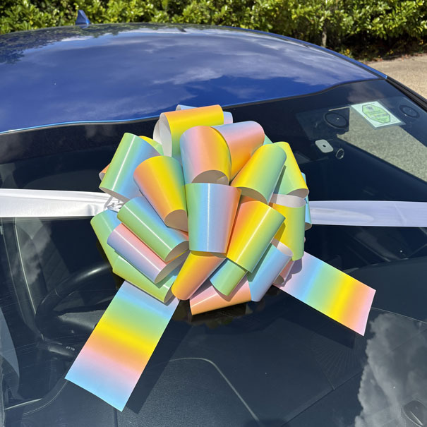 MEGA Giant Car Bow 42cm diameter with 6m Ribbon - PASTEL